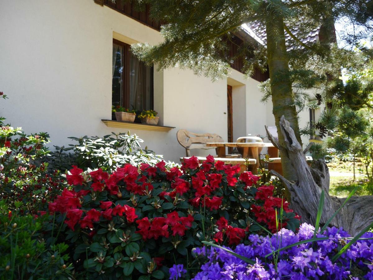 Fewo Lutterow Rheinsberg Exterior photo